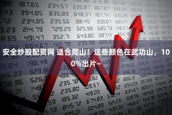 安全炒股配资网 适合爬山！这些颜色在武功山，100%出片~